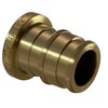 XFITTING Pex A 1/2 Inch Plug End Cap, 29-3-5=2XX, 2