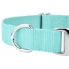 Country Brook Petz Premium Nylon Dog Collar with Metal Buckle