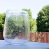 Bubble Glass shade, LEDupdates 3 Pack 5" wide Clear Seeded