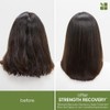 Biolage Strength Recovery Shampoo Reparador de Cabello Dañado 400 ml