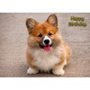 Corgi Dog Birthday Card