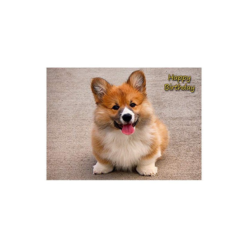 Corgi Dog Birthday Card