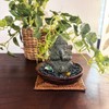 Ata Coaster Square Shape, Set of 5, Asian Goods, Natural