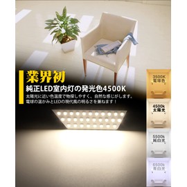 RAV4 50 Series LED Room Lamp, Toyota New RAV4 Indoor Light, Dedicated Design, H31.4~MXAA52, MXAA54, AXAH52, AXAH54, Explosion, 4500K, Genuine Color Temperature, Sunlight, Custom Parts, For RAV4 50