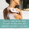 Neutrogena Rainbath Refreshing & Cleansing Shower & Bath Gel, Moisturizing