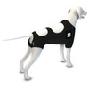 Calm Paws Behavior Support Calming Recovery Vest with Dog Calming