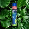 Chrysal Leaf Shine Spray for Indoor Plants (25 Ounce 1