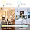 Sigalux A19 LED Light Bulb 60W Equivalent, E26 Medium Base