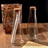 Magic Season Decorative Glass Bottles with Cork Stoppers (350 ml