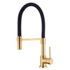 Pirooso Gold and Black Kitchen Faucet, Kitchen Sink Faucet with