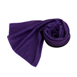 Ice Cold Towels Gym Towel Microfiber Neck Wrap Travel Cold Towel Sweat Sports Towel Neck Towel Microfiber Towels Camping Towel Travel Towels Fitness Ice Bag Purple Outdoor
