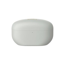 Sony WF-1000XM5 Rechargeable Charging Case with Built-in Lithium-Ion Batteries for Charging Earbuds (Silver)