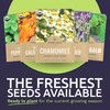 Organic Herbal Tea Seeds Variety Pack - 5 Individual Packs