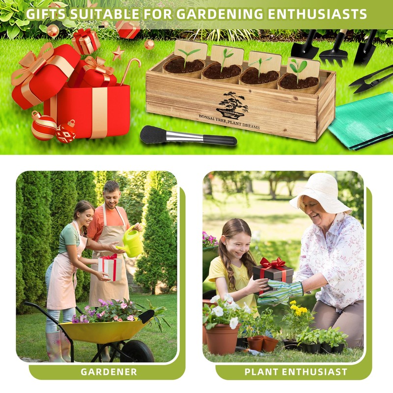 Premium Bonsai Kit,Complete Bonsai Starter Kit with Wooden Gift Box,repotting
