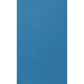 US Marine Products LLC Fluorescent Lobster Buoy Paint Blue Quart- Buoy Coat