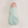 ergoPouch Baby Sleeping Bag Jersey, 8-24 Months, Ideal in Winter