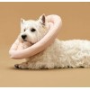 Arrr Pet Recovery Collar Cone Donut Dog Cats Surgery Adjustable