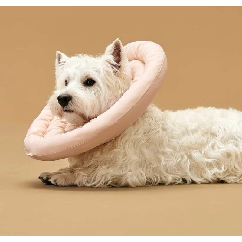 Arrr Pet Recovery Collar Cone Donut Dog Cats Surgery Adjustable