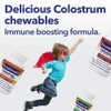 Symbiotics Colostrum 120ct Chewables Plus - Immunity Support for Adult