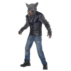 Kid's Full Moon Fury Costume Large