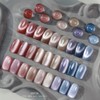 From the Nail Sepia 9 types of individual magnetic gel