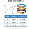 Haoyueer Nylon Dog Collar with Metal Safety Buckle, Adjustable Leather
