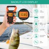 ORIA Fish Scale Digital, Fishing Scale, Fish Scale with Ruler