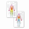 Neuro Dermatome Diagram Vertical Badge ID Card Pocket Reference Guide