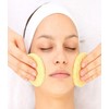 3 Pieces Cleaning Sponge Wet Wipes, Soft Cleaning Powder Puff,