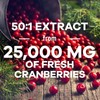 Cranberry Concentrate Extract Supplement for Women & Men + Vitamin
