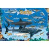 Sharks 100 Piece Jigsaw Puzzle