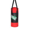 Everlast Champ Training Sandbag, Mini Heavy Bag for Home Use / 가정용 미니 헤비백 챔프 트레이닝 샌드백