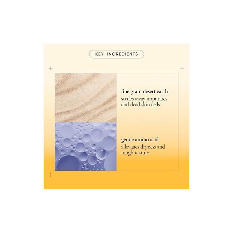 Microdelivery Exfoliating Facial Wash by Philosophy for Unisex - 16