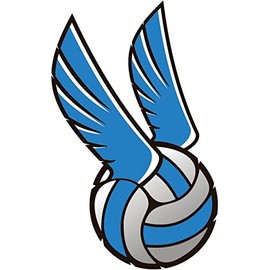 Zirni Cartoon Illustration Volleyball Ball Wings Sport Sticker Decal Design