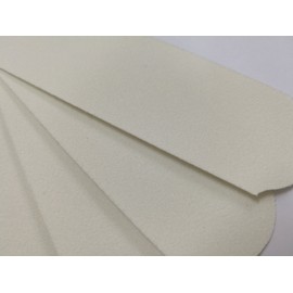 120 GRIT Stainless Steel Pedicure File Refill Pads , 60 Count (120 GRIT White)