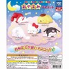 Sanrio Character Nighttime Mascot (Complete Set of 5 Types)