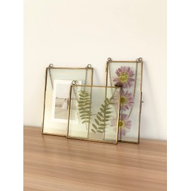 Double Glass Frame for Pressed Flowers, Leaf and Artwork - Set of 3 Hanging Picture Frames, 6x6, 6x8, 4x9 Floating Pressed Flower Frames, Square and Rectangular Wall Decor Photo Display, Clear Metal