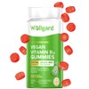 Vegan Vitamin B12 Gummies Wellgard – High Strength B12 Supplement