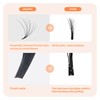 ANNAFRIS Easy Fan Individual Eyelash Extension, Self-Fanning 0.07 D Curl,