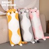 Shownicer Plush Toy Animal, Kawaii Cat, Plush Cushion, Kittens, Scatter