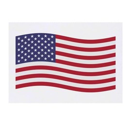 'Waving American Flag' Temporary Tattoo - Water Resistant, Skin-Safe, Non-Toxic Transfer (TO00068309)