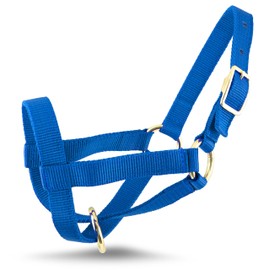 Jeffers Livestock Goat Halter, Medium, Royal Blue – Safe & Adjustable for Milking, Training, and Travel; Ideal for Dairy, Show Goats, and Small Livestock; - Protection & Accessories for Goats.