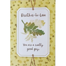 Greeting Card Brother-in-Law You Are A Really Good Guy - Hope You Have Day That's Full of All The Happy Things A Birthday Can Bring