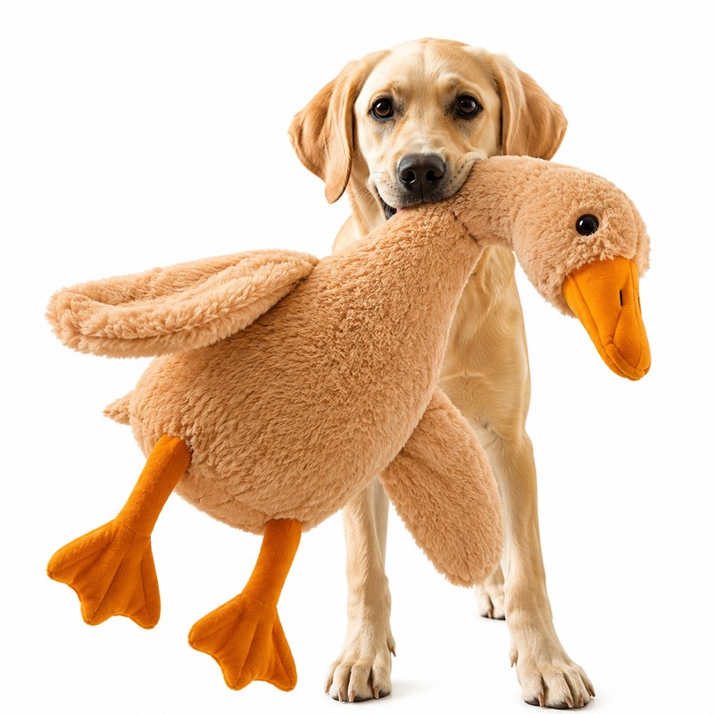 2 Pcs Cute Duck Plush Pet Toy for Dogs &