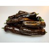 Pasilla Oaxaca Pepper 10+ Seeds