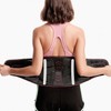 Wizmax Core Lumbar Support Belt with 5 Stays and Double Strap Adjustable Compression M Size
