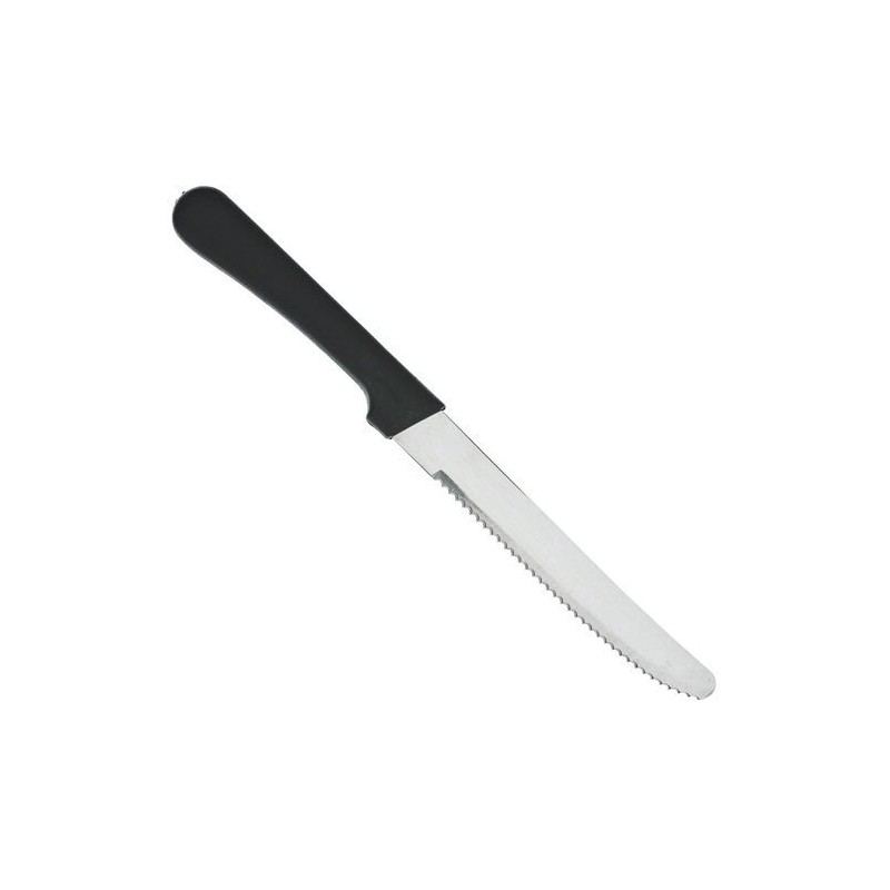 Round Tip Steak Knife with Plastic Handle, 5 Inch Blade