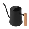 Stainless Steel Watering Can Pot Retro Small Plant Watering Can