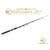 RODS 10FT Telescopic 10ft Fishing Rod Carbon Travel Stalking Pike