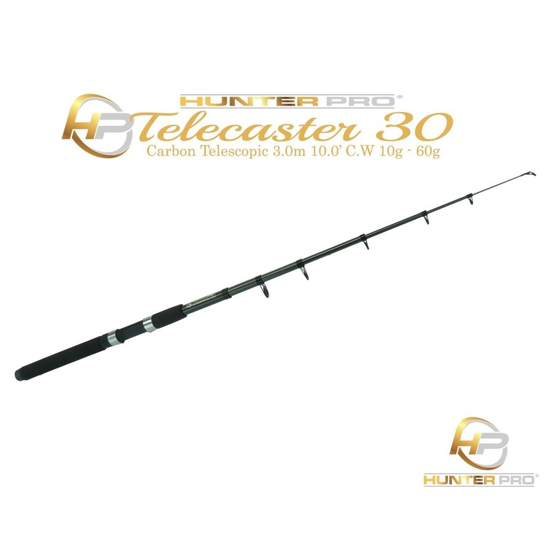 RODS 10FT Telescopic 10ft Fishing Rod Carbon Travel Stalking Pike